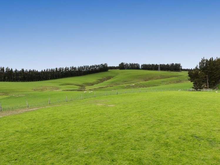 1680 Mahinerangi Road Waipori_6