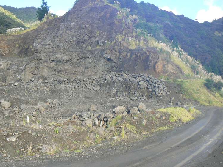 Jamieson Road Omanaia_5