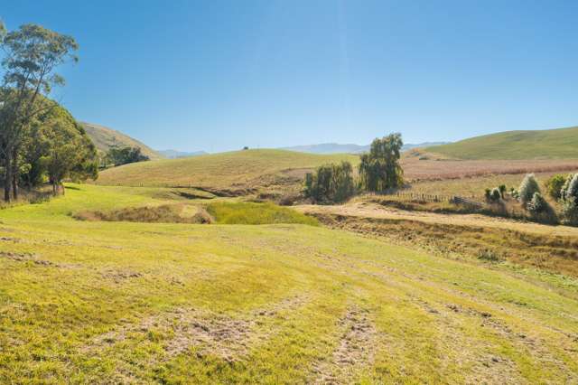 2365 State Highway 2 Poukawa_3