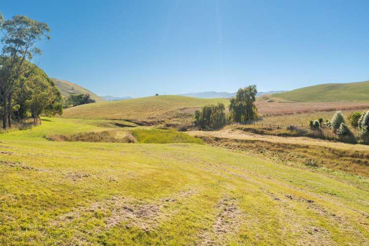 2365 State Highway 2 Poukawa_3