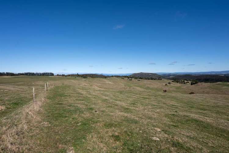 1553 Poihipi Road Oruanui_11
