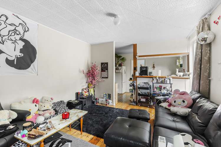 12 Krull Street Vogeltown_9