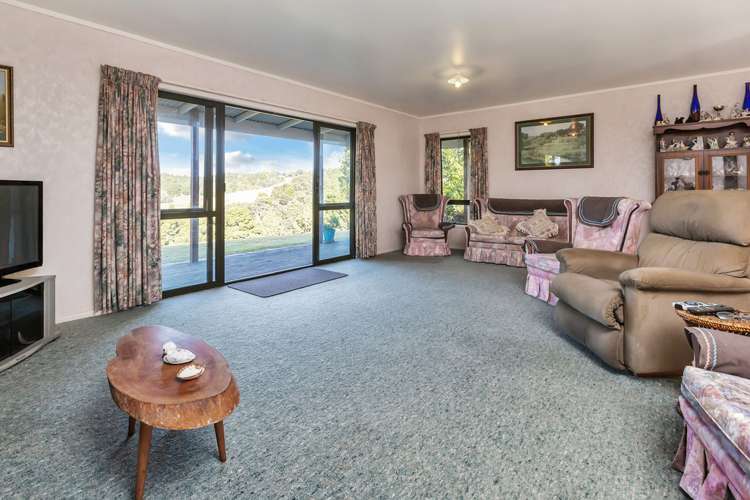 903 Springfield Road Mangapai and Surrounds_5