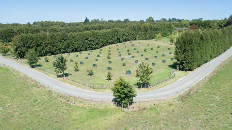 30c Thompsons Track Aongatete_17