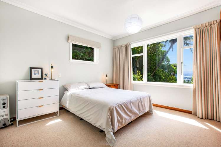 46 Mana Street Vogeltown_9