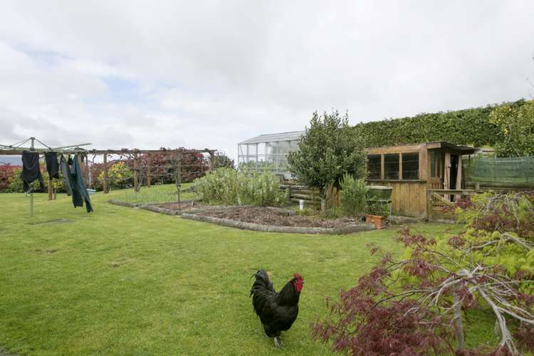 64 Oak Drive Wairakei and Surrounds_16