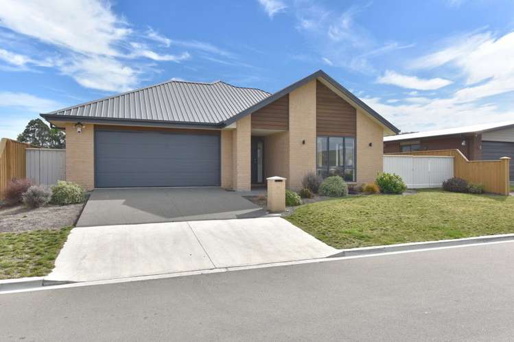 17 Pahua Street Pegasus_28