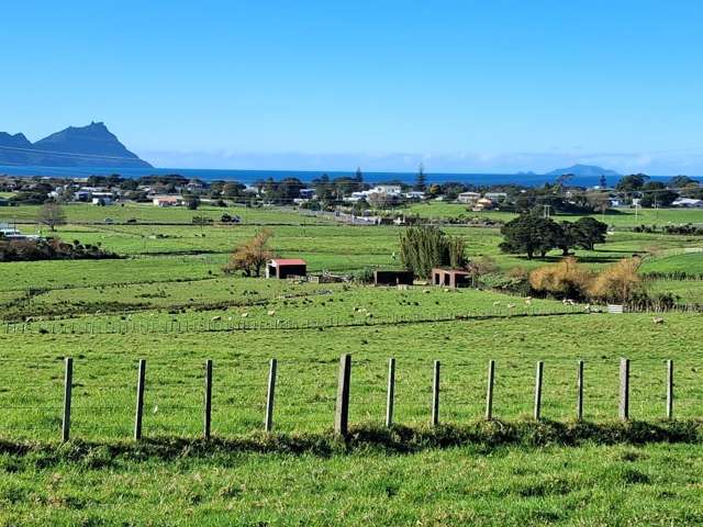 169 Sandford Road Ruakākā_2