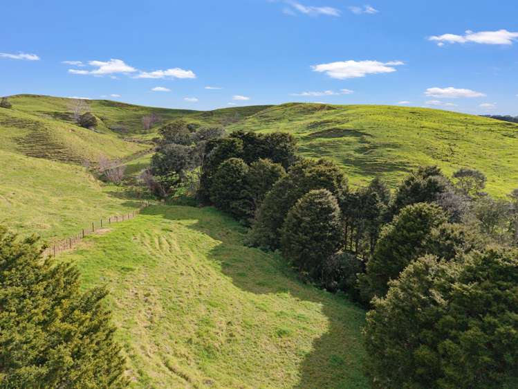/ Lot 12 Gorge Road Maungaturoto_13