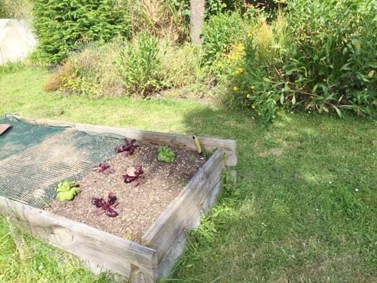 17 Hare Road Ocean View_17