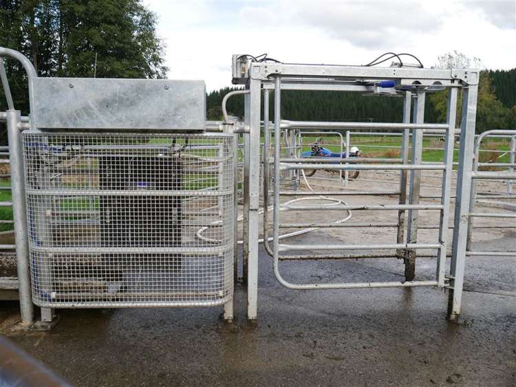 414 Sherry River Road Tapawera_29