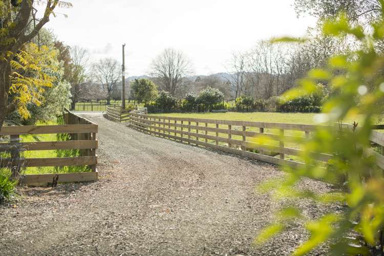 Lot 4 Glenelg Road Makauri_5