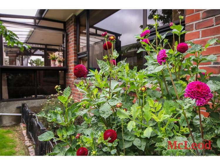 3 Rapley Street Hampstead_9