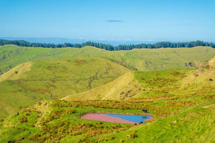 229 Rangikohua Road Tolaga Bay_18