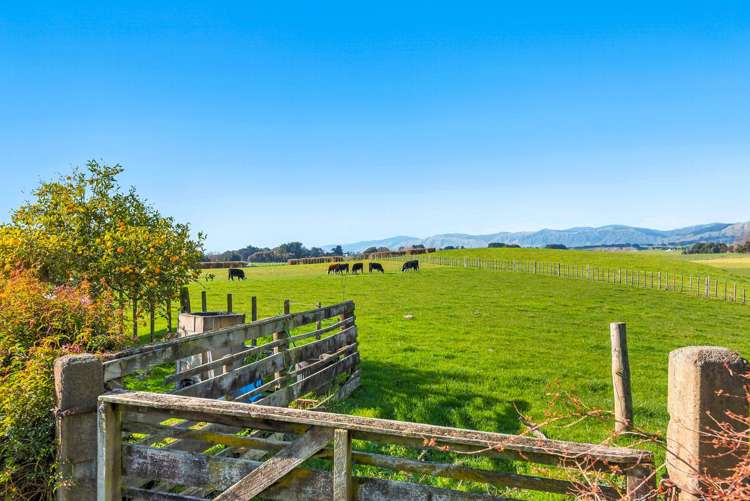 208 Kukutauaki Road Koputaroa_9