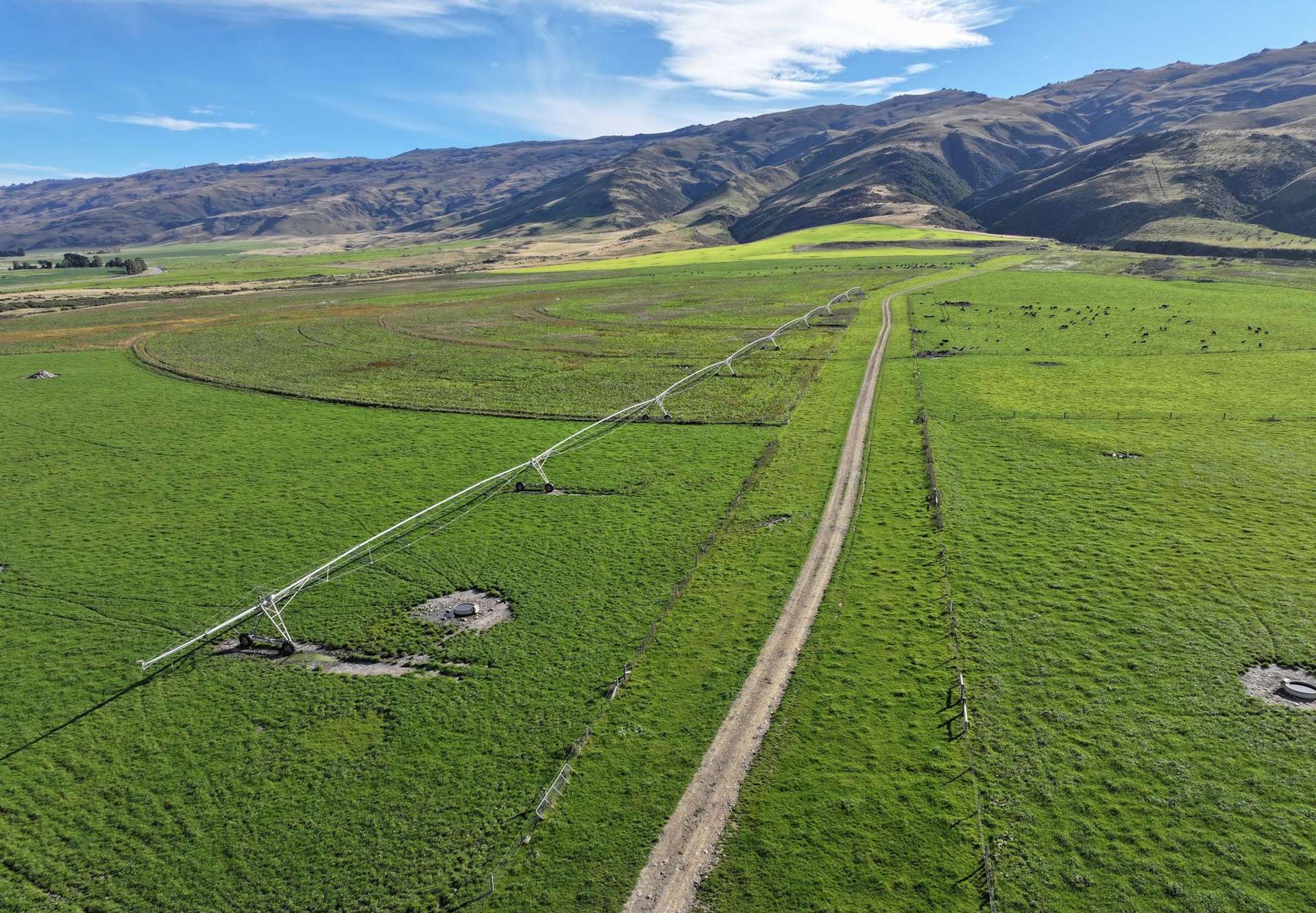 7797 Hyde-Middlemarch Road Middlemarch_0