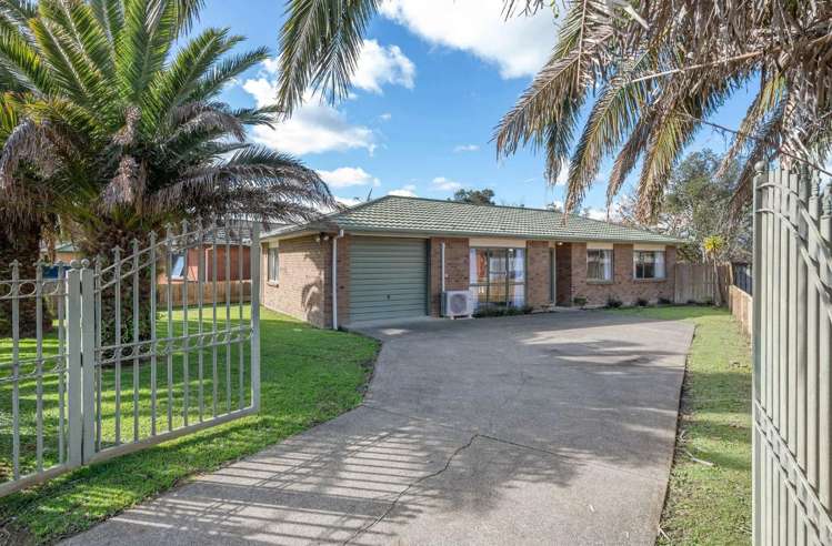 163 Te Irirangi Drive Flat Bush_0