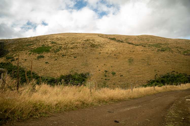 1320 Hunt Road Catlins Surrounds_15
