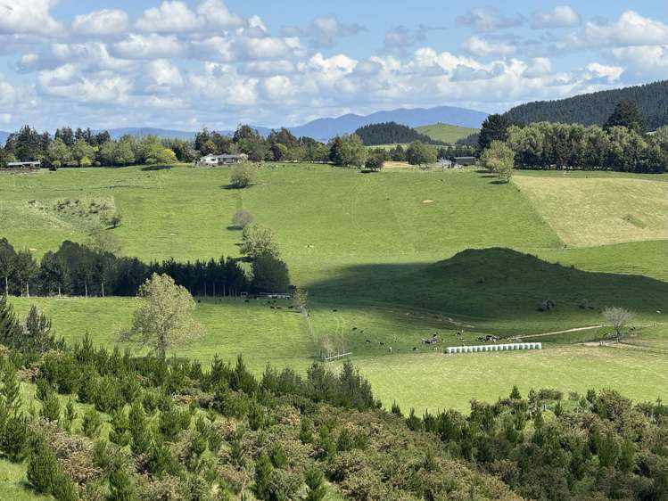 1/1745 Arapuni Road Parawera_25