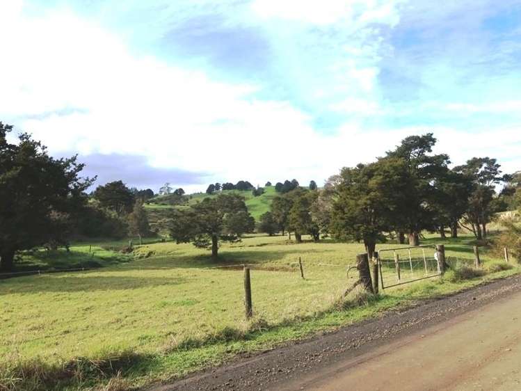 1247 Kirikopuni Valley Road_0