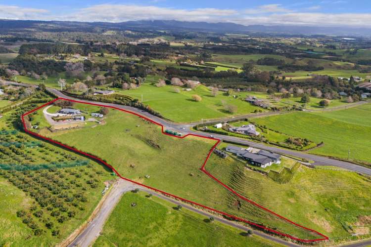 349A Whakamarama Road Whakamarama_28