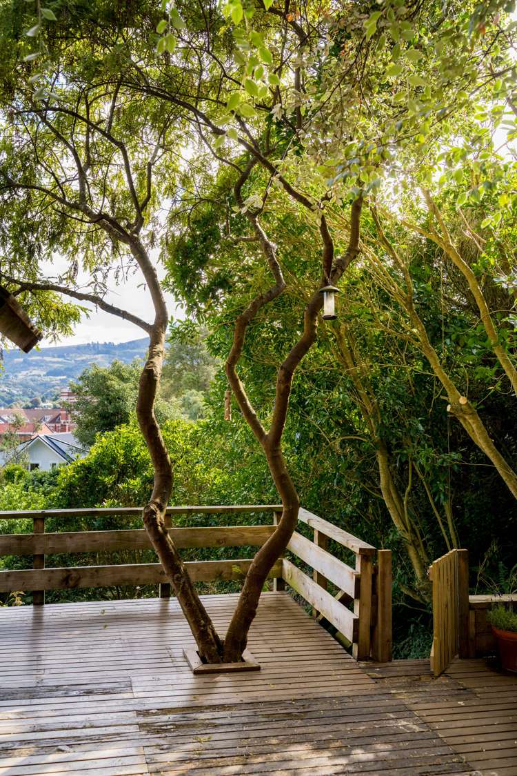 15 Hatfield Street Opoho_31