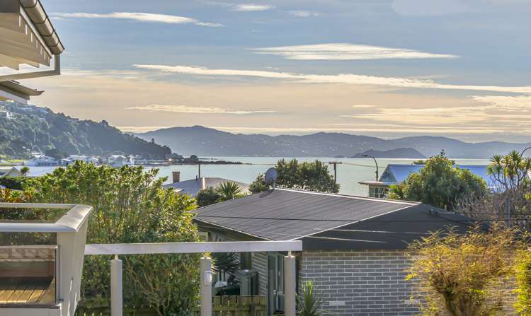 16b Ferry Street Seatoun_2