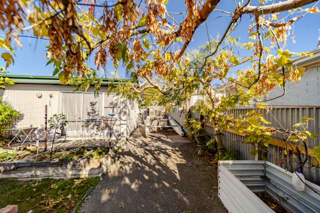 19 Plunket Street Tamatea_1