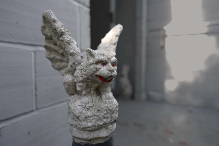 77b Buckland Street Putaruru_1