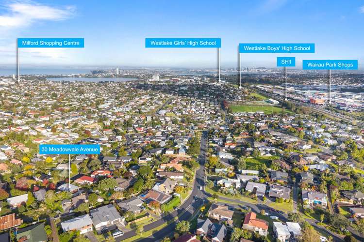 30 Meadowvale Avenue Forrest Hill_21