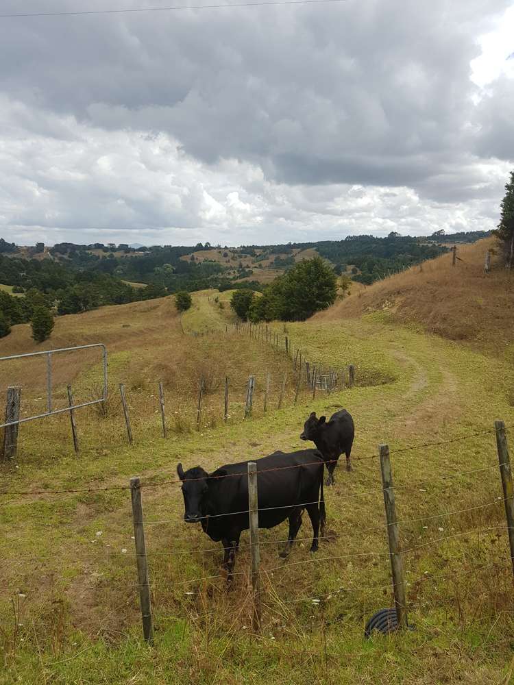 160 Otuhi Road Mangapai and Surrounds_25