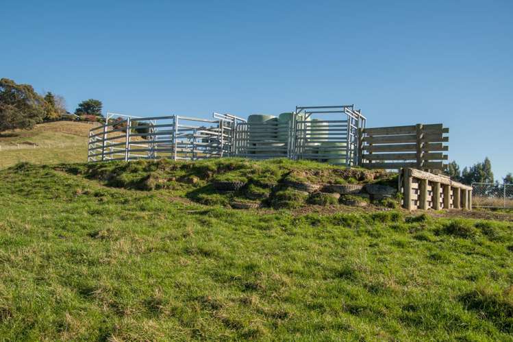 89C Mckinnon Road Mcnab_16