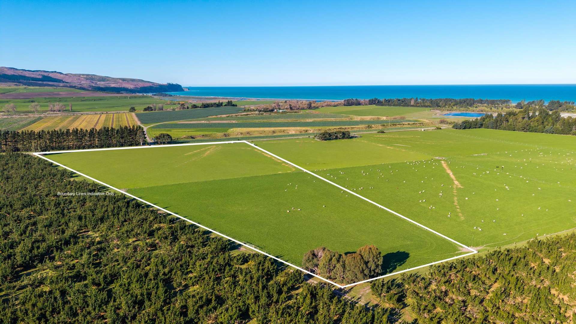 156 Webbs Road Amberley_0