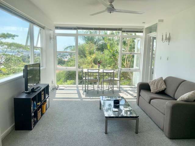 6/12 Burrows Avenue Parnell_1