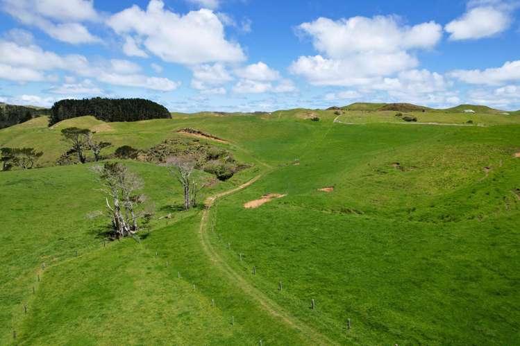 1090 Te Maire Road Dargaville_21