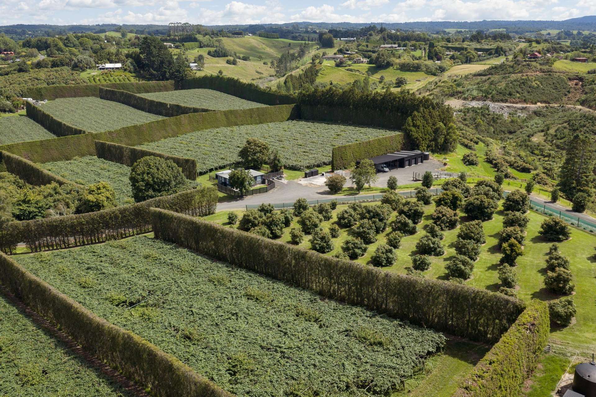 Address withheld Whakamarama_0