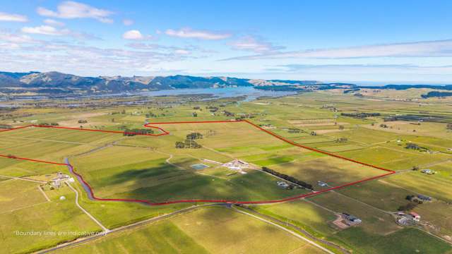 Productive 100ha Dairy Farm