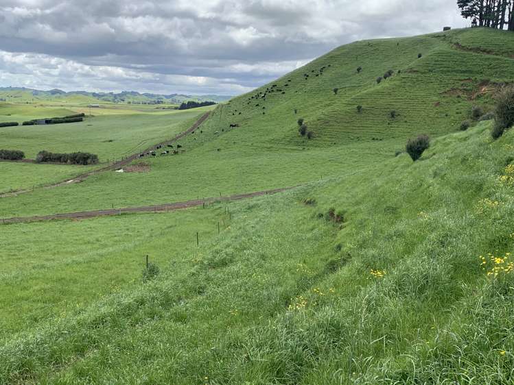 678 Bird Road Stratford_2