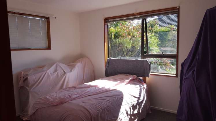 10 Morris Road Amberley_8