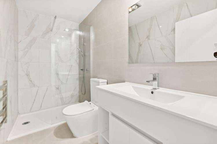 9 Serpent Road Flat Bush_7