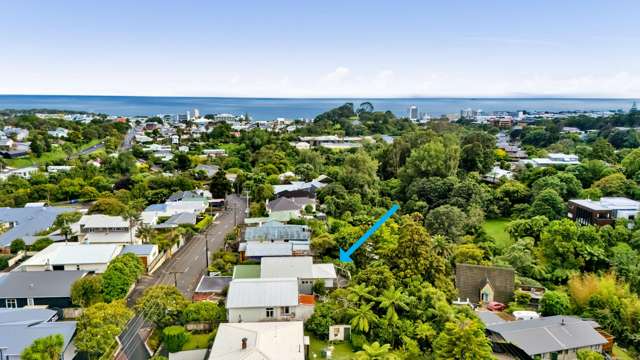 55 Mill Road Lower Vogeltown_1