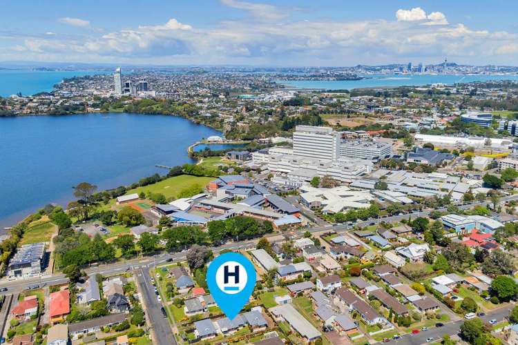 2/4 Waterloo Road Milford_17