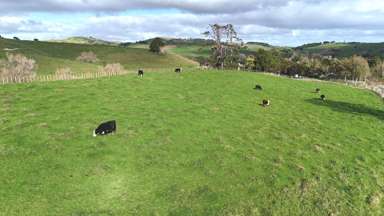 4326 Kaipara Coast Highway_2
