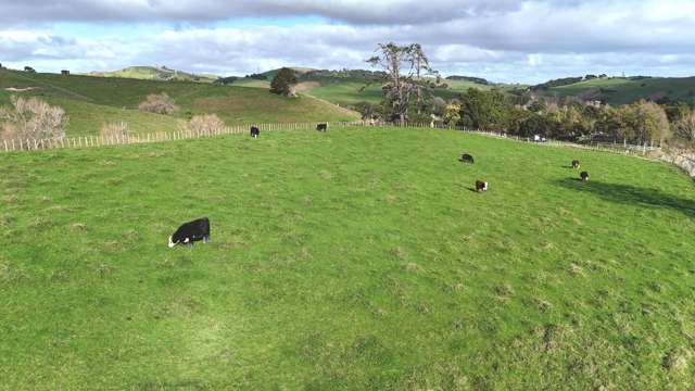 4326 Kaipara Coast Highway Tauhoa_2