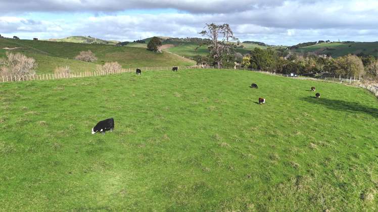 4326 Kaipara Coast Highway Tauhoa_2