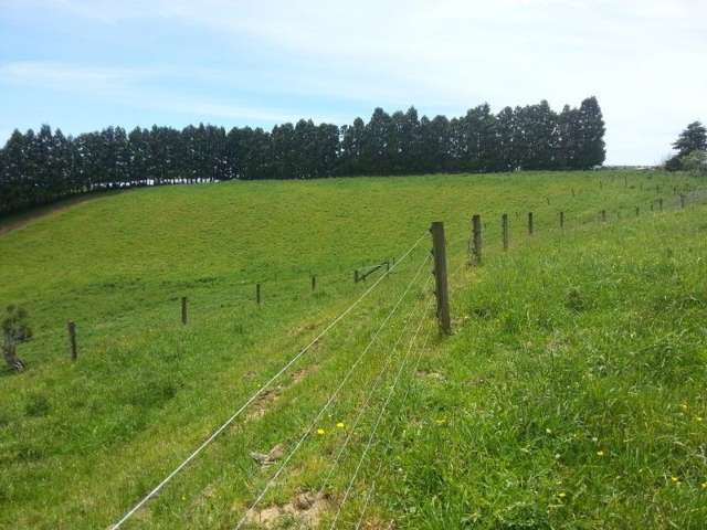 860 Mataro Road Onaero_4