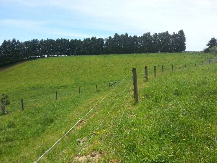 860 Mataro Road Onaero_4