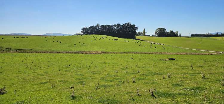 465 Adam Fleming Road Crossans Corner_16