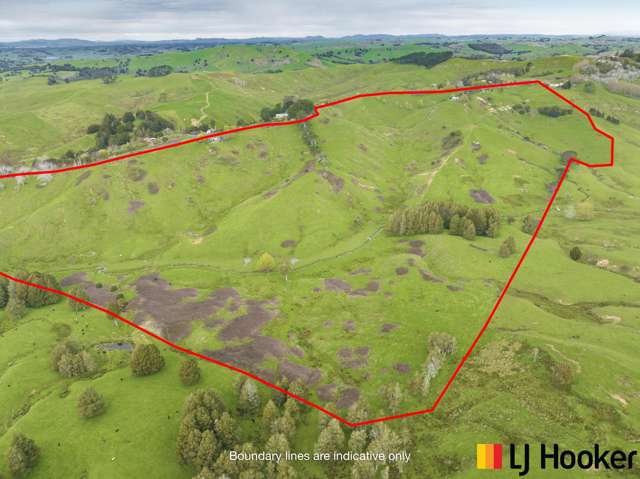 844 Wairamarama Onewhero Road Onewhero_1