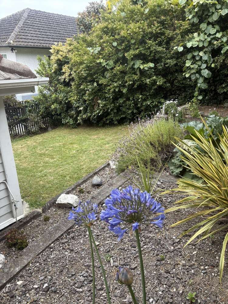 A/5 Douglas Road Wakatu_9